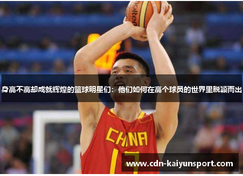 身高不高却成就辉煌的篮球明星们：他们如何在高个球员的世界里脱颖而出